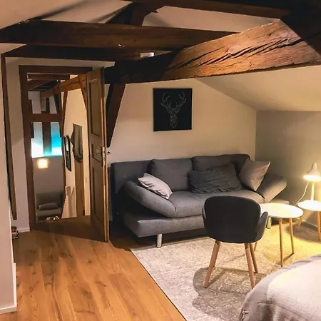 D'exception La Belle Des Vosges 4 Etoiles, Bain Nordique, Sauna, Billard Etc *