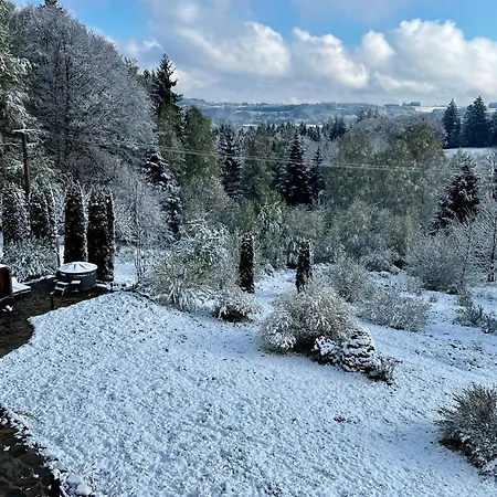 D'exception La Belle Des Vosges 4 Etoiles, Bain Nordique, Sauna, Billard Etc