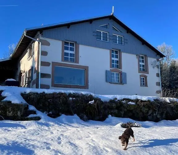 Willa D'exception La Belle Des Vosges 4 Etoiles, Bain Nordique, Sauna, Billard Etc *