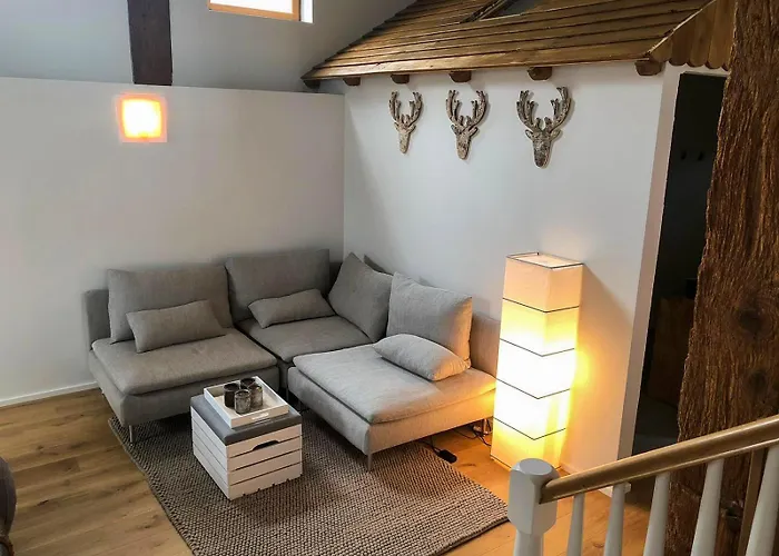 D'exception La Belle Des Vosges 4 Etoiles, Bain Nordique, Sauna, Billard Etc * Le Tholy