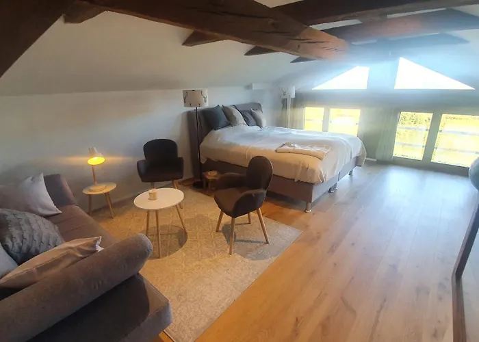 D'exception La Belle Des Vosges 4 Etoiles, Bain Nordique, Sauna, Billard Etc *