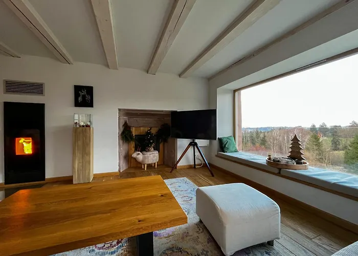 D'exception La Belle Des Vosges 4 Etoiles, Bain Nordique, Sauna, Billard Etc Willa *